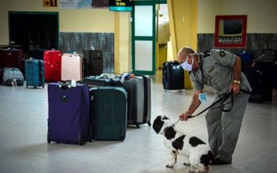 Cuba mantiene tolerancia cero a tráfico de drogas
