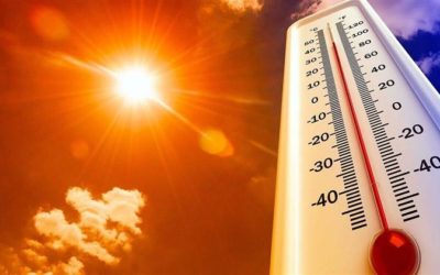 Valora OMM nombrar las olas de calor