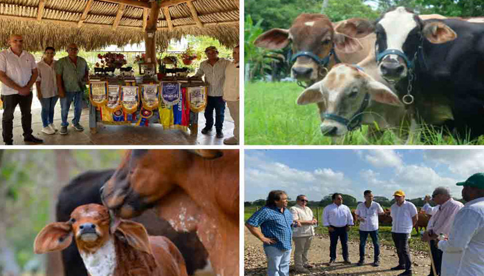 Embajador cubano y ganaderos colombianos dialogan sobre cooperación