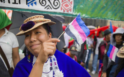 Periodista  llama “borregos” a los indígenas que marcharon en Bogotá y el presidente responde
