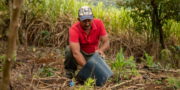 Presidente Petro confirma que Argos entregará las tierras que había conseguido en Montes de María