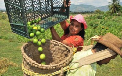 Así es el plan de Finagro para combatir el ‘gota a gota’ en Colombia