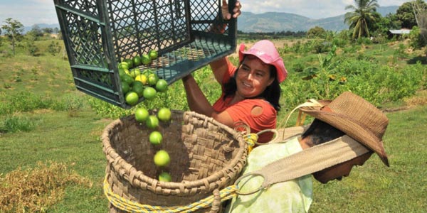 Así es el plan de Finagro para combatir el ‘gota a gota’ en Colombia