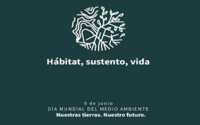 Cuba llama a frenar desertificación en Día Mundial de Medio Ambiente