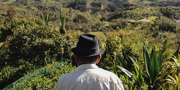 Sector Agropecuario: dos años avanzando con dignidad por el campesinado colombiano