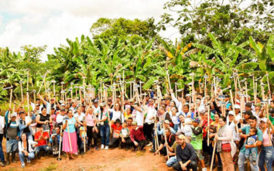 Agencia Nacional de Tierras hace la adjudicación de tierras en la región del Ariari, Meta