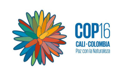 Cómo llega Colombia a la COP16