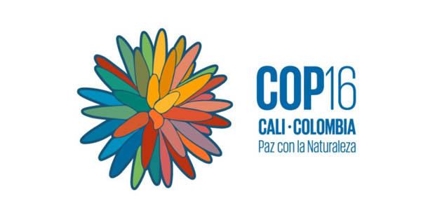 Cómo llega Colombia a la COP16