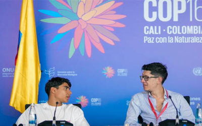 Para que ningún niño en Colombia se quede sin estudiar, MinEducación oferta ocho millones de cupos