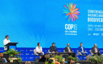 “Quisimos que el pueblo se tomara la COP”, dijo presidente Petro