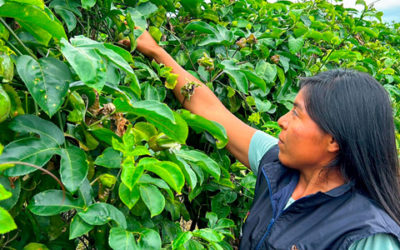Finagro ha otorgado 32,5 billones en créditos este año
