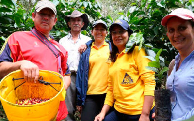 OCAD Paz invertirá $1 billón para financiar proyectos de desarrollo