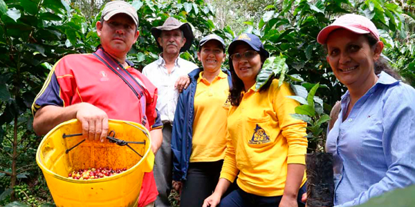 OCAD Paz invertirá $1 billón para financiar proyectos de desarrollo