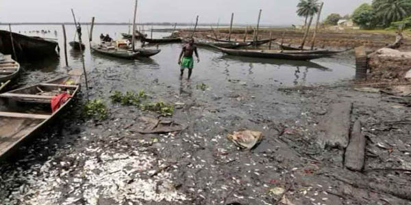 Petrolera Shell acusada de graves daños medioambientales en Nigeria