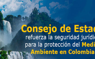 Consejo de Estado respalda decreto sobre reservas ambientales temporales