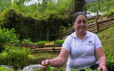 Políticas públicas de medio ambiente