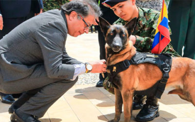 No más crueldad en contra de los animales: Presidente Petro promulgó las leyes Ángel y Lorenzo