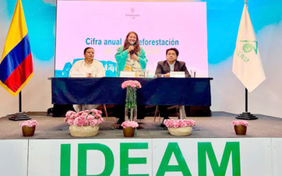 Colombia consolidó en 2024 la segunda cifra de deforestación más baja de la historia: 113.608 hectáreas