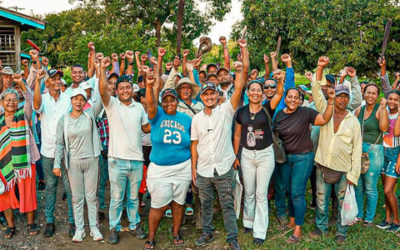 4.000 hectáreas recuperadas en Córdoba: Colombia avanza en justicia agraria para campesinos