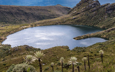 Presidente Petro reitera defensa de la agricultura de bajo impacto ambiental en los páramos