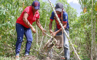 Gobierno estableció arancel de 0% para 76 insumos agropecuarios