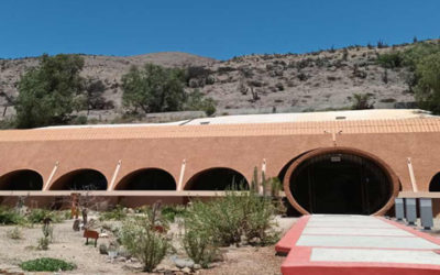 Chile: “Viaje a la semilla”