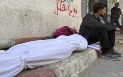 Palestina: Israel violó el alto al fuego en Gaza 591 veces