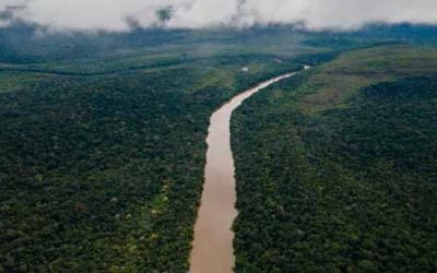 En 25% se redujo deforestación en la Amazonía colombiana