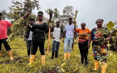 En Tumaco, presidente Petro entrega 2.835 hectáreas erradicadas para la siembra de alimentos