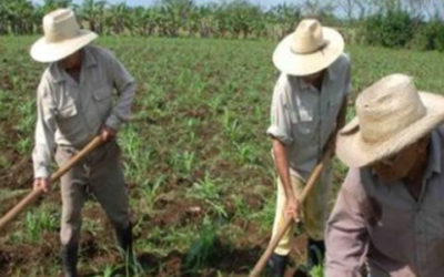 17 de mayo en Cuba, fiesta para quienes trabajan la tierra