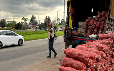 MinAgricultura habilitó $67.272 millones para proteger los cultivos frente al fenómeno del Niño