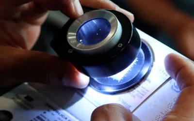 Desde 2022, Migración Colombia facilitó captura de 850 personas por fraude documental y suplantación de identidad