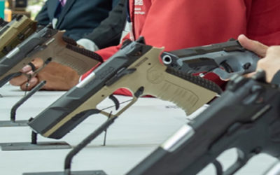 ¿Más armas significa más seguridad?