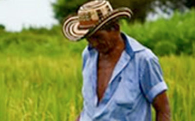 La narrativa de la contrarreforma
