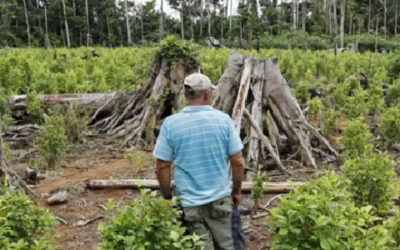 Expresidente Petro denuncia amenazas de De la Espriella contra oposición judicial a fumigaciones aéreas
