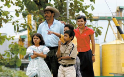 Familias, en plural