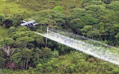 Fuerte rechazo en Colombia a plan del Gobierno para retomar fumigaciones aéreas